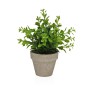 Plante décorative Versa Fer Textile Plastique 11 x 26 cm