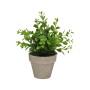Plante décorative Versa Fer Textile Plastique 11 x 26 cm