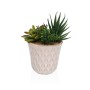 Plante décorative Versa Céramique Plastique Fusion Succulent 7,8 X 14 X 7,8 CM