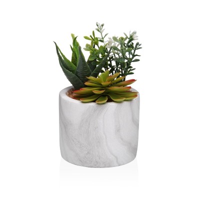 Plante décorative Versa Céramique Plastique Fusion Succulent 9 x 15 x 9 cm