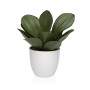 Plante décorative Versa Fer Textile Plastique 25 x 23 cm