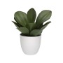 Plante décorative Versa Fer Textile Plastique 25 x 23 cm