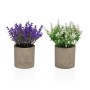 Plante décorative Versa Fer Textile Plastique 7 x 16 cm