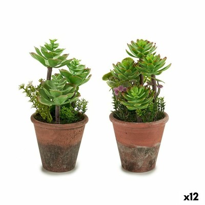 Plante décorative Ibergarden XD16-849 XD16-849 Plastique Succulent 16 x 23 x 16 cm (12 Unités)