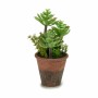 Plante décorative Ibergarden XD16-849 XD16-849 Plastique Succulent 16 x 23 x 16 cm (12 Unités)