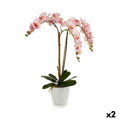 Plante décorative Ibergarden A18124-71-3WH A18124-71-3WH Plastique Orchidée 40 x 77 x 35 cm 40 x 78 x 35 cm (2 Unités)