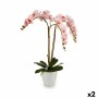 Plante décorative Ibergarden A18124-71-3WH A18124-71-3WH Plastique Orchidée 40 x 77 x 35 cm 40 x 78 x 35 cm (2 Unités)