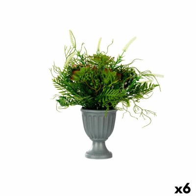 Plante décorative Ibergarden XD19-1369 XD19-1369 Plastique Verre 21 x 30 x 21 cm 34 x 39,5 x 34 cm (6 Unités)