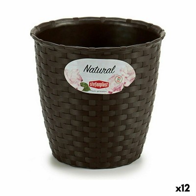 Planter Stefanplast 73452 73452 Plastic 14 x 13 x 14 cm (12 Units)