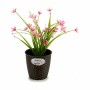 Planter Stefanplast 73452 73452 Plastic 14 x 13 x 14 cm (12 Units)