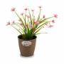 Cache-pot Stefanplast 73454 73454 Marron Plastique 14 x 13 x 14 cm (12 Unités)