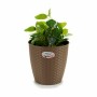 Planter Stefanplast 73474 73474 Brown Plastic 24 x 22,5 x 24 cm (6 Units)