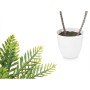 Plante décorative Ibergarden XD19-1327 XD19-1327 Plastique Palmier 36 x 55,5 x 24 cm 15 x 60 x 15 cm (6 Unités)