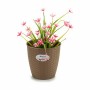 Planter Stefanplast 73464 73464 Brown Plastic 19 x 17,5 x 19 cm (12 Units)