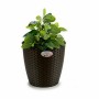 Planter Stefanplast 73482 73482 Plastic 29 x 26,5 x 29 cm (6 Units)