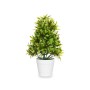 Decorative Plant Ibergarden 547 547 Plastic 18 x 35 x 16 cm (6 Units)
