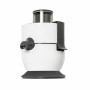 Liquidiser Cecotec StrongTitanium 19000 650W (500 ml)
