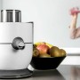 Liquidiser Cecotec StrongTitanium 19000 650W (500 ml)