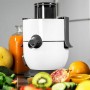 Liquidiser Cecotec StrongTitanium 19000 650W (500 ml)