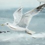 Painting Home ESPRIT Blue White Mediterranean Seagull 140 x 3,7 x 70 cm (2 Units)