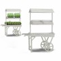 Support à roulettes pour pots de fleurs Ibergarden WA15379-1 (Reconditionné B)