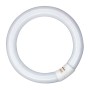 Tube fluorescent Patron 40 W G10Q Blanc (6500 K)
