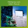 Ampoule à Puce Philips 10 W