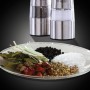 Spice Grinder Russell Hobbs 23460-56 Silver (2 Units)