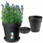 Pot Elho Noir Plastique Rond