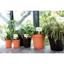 Pot Elho Noir Plastique Rond