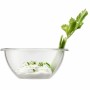 Saladier Bodum Bistro Ø 16 cm Transparent 1,6 L