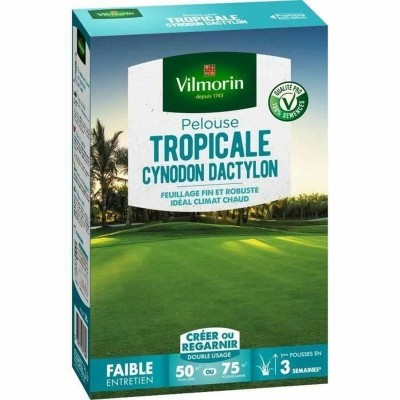 Graines Vilmorin Les Tropicales Cynodon Dactylon 500 g