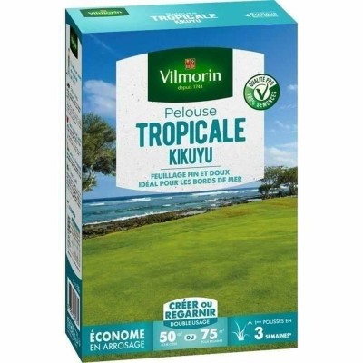 Graines Vilmorin Kikuyu 500 g