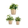 Set of pots Ibergarden Beige Clay Cónica Ø 14 cm Ø 22 cm Ø 17 cm 22 x 21 x 22 cm 3 Pieces
