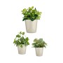 Set of pots Ibergarden Grey Clay Cónica Ø 14 cm Ø 22 cm Ø 17 cm 22,5 x 21 x 22,5 cm 3 Pieces