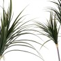 Decorative Plant Ibergarden Plastic Iron cable Narrow leaf 80 x 140 x 85 cm