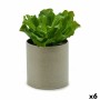 Plante décorative Ibergarden 20 x 25 x 20 cm (6 Unités)
