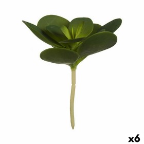Decorative Plant Ibergarden Plastic Sheets Circular 18 x 23 x 18 cm (6 Units) Decorative Plant Ibergarden Plastic Sheets Circular 18 x 23 x 18 cm (6 Units)