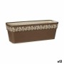 Jardinière Stefanplast Gaia Marron Plastique 18 x 17 x 49,5 cm 49,5 x 17 x 18 cm (12 Unités)