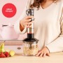 Mixeur plongeant Solac BA5618