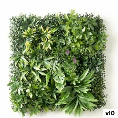 Jardin vertical Ibergarden Jaune Vert Violet Plastique Volets 50 x 50 cm (10 Unités)