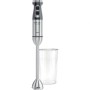 Mixeur plongeant Orbegozo BT 6017 XL 1700 W