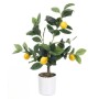 Plante décorative Ibergarden Mousse Polyéthylène Mélamine Citronnier 40 x 58 x 38 cm (6 Unités)