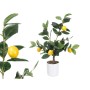 Plante décorative Ibergarden Mousse Polyéthylène Mélamine Citronnier 40 x 58 x 38 cm (6 Unités)