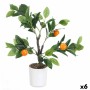 Plante décorative Ibergarden Mousse Polyéthylène Mélamine 40 x 58 x 38 cm (6 Unités)