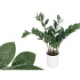 Plante décorative Ibergarden ZAMIOCULCA Polyéthylène Mélamine 53 x 55 x 53 cm (6 Unités)
