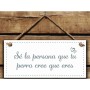 Hanging decoration Magnet & Steel Sé la persona que tu perro cree que eres 13 x 13 x 0,8 cm