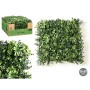 Jardin vertical Ibergarden Vert Plastique Volets 50 x 50 cm (10 Unités)