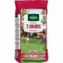 Seeds Vilmorin 7 días 5 kg