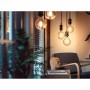 Smart Light bulb Philips Globo G93 - Bombilla inteligente E27 7 W 40 W 60 W E27 LED